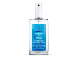 Imagen del producto SALVIA DESODORANTE SPRAY 100ML    WELEDA